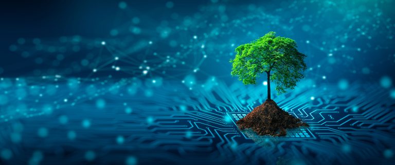 Read more about the article Sustainability and Green IT: Why Businesses Need to Prioritize Sustainable Tech Practices